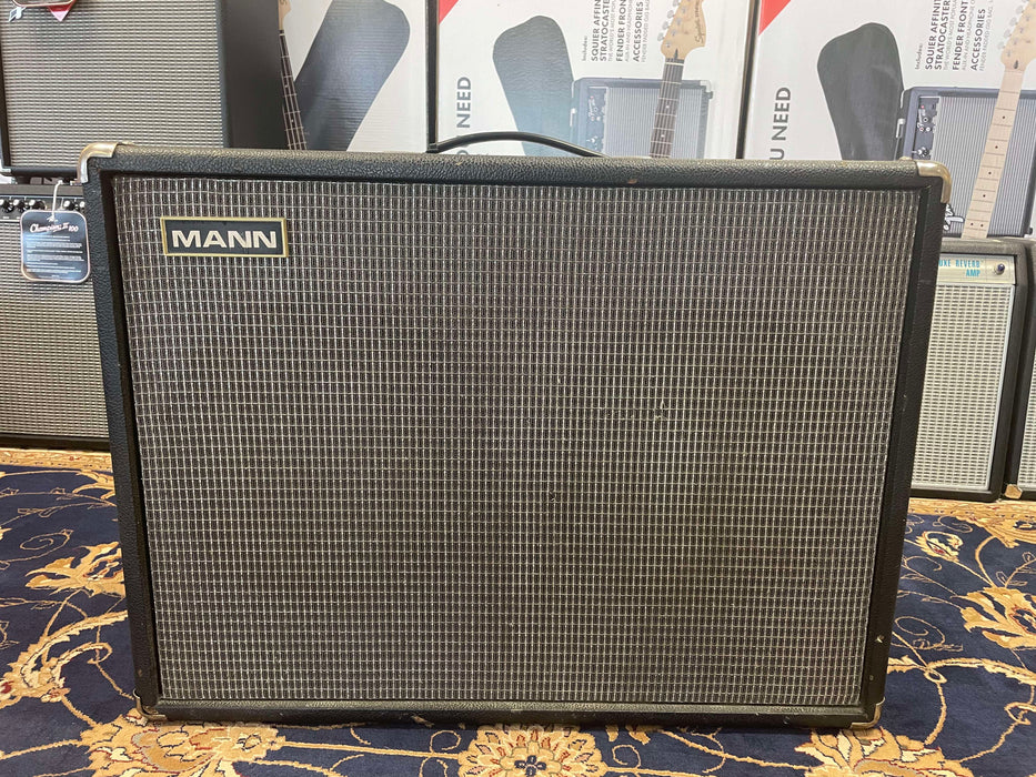 MANN MT100TR Guitar Amplifier - Used