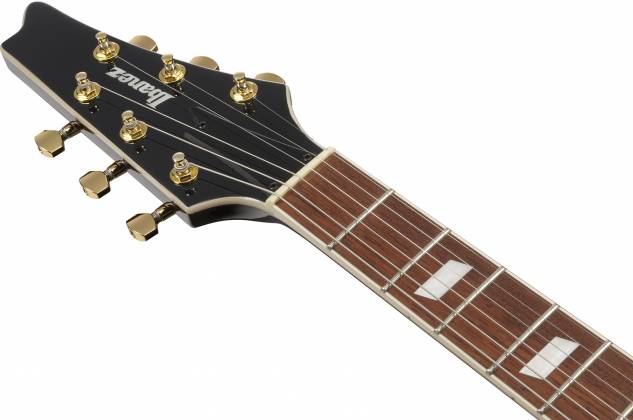 Ibanez IC420GD Iceman 6-String Electric Guitar w/Gig Bag, Gold