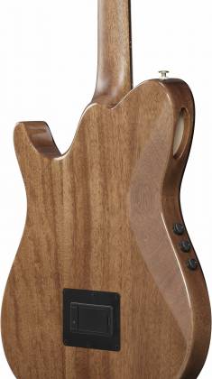 Ibanez TOD100NNT Tim Henson Signature Acoustic-ElectricNylon Guitar w/Gig Bag, Natural High Gloss