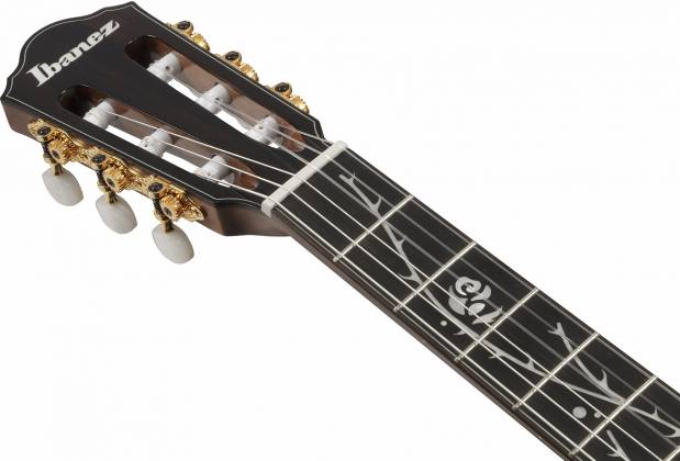 Ibanez TOD100NNT Tim Henson Signature Acoustic-ElectricNylon Guitar w/Gig Bag, Natural High Gloss