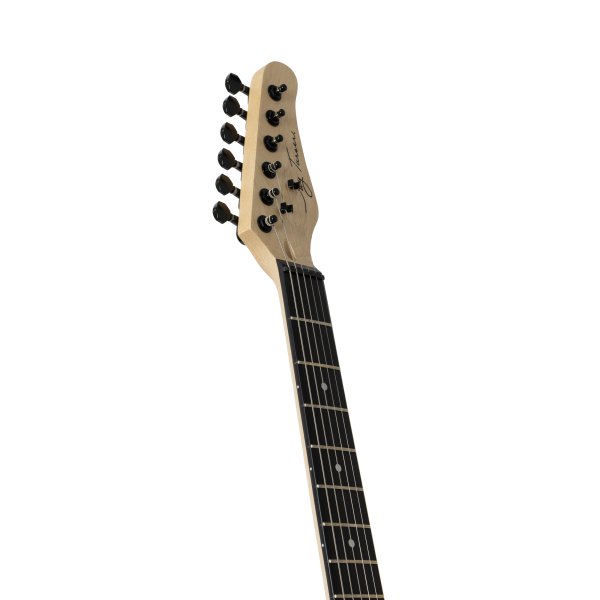 Jay Turser JT-120-TRB Double-Cutaway Electric Guitar w/Dual Humbuckers, Transparent Red