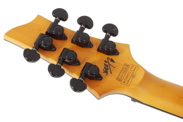 Schecter Jerry Horton C-1 25th Anniversary