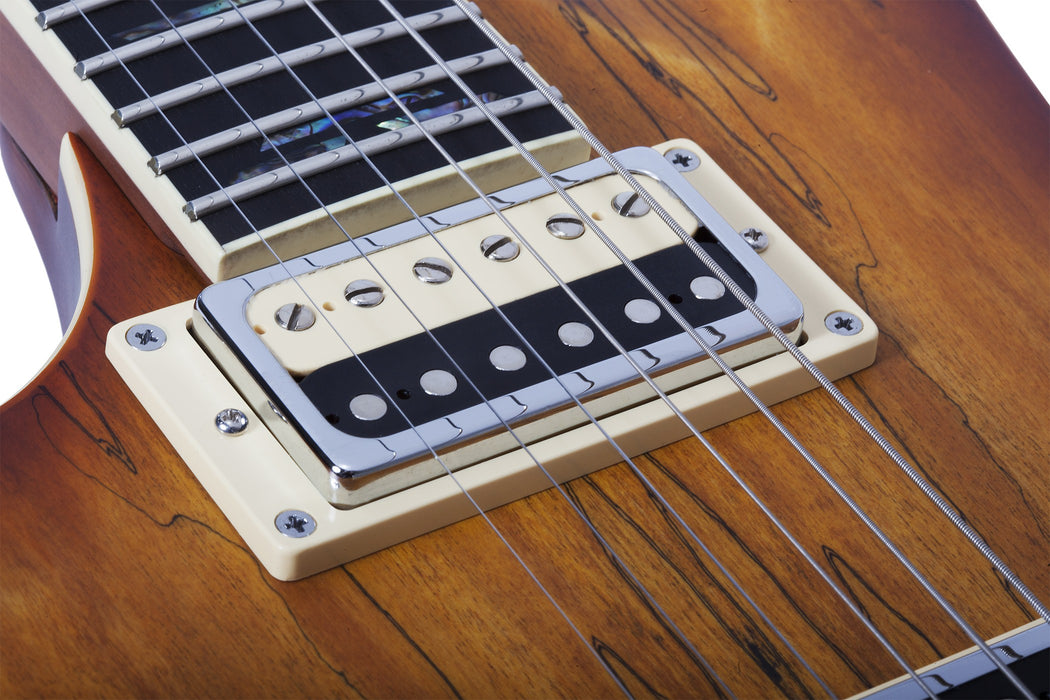 Schecter Avenger Exotic Spalted Maple Left-Handed