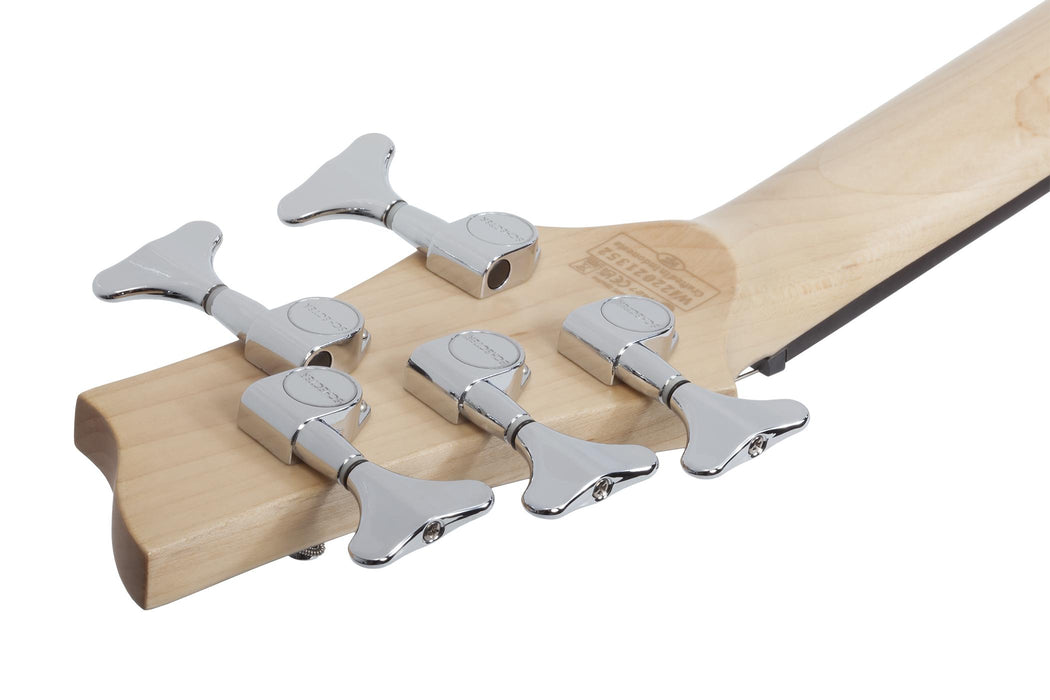 Schecter C-5 Deluxe Satin Black