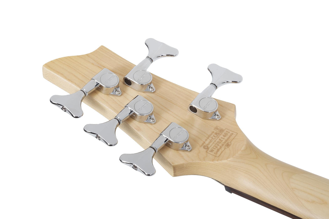 Schecter C-5 Plus Charcoal Burst