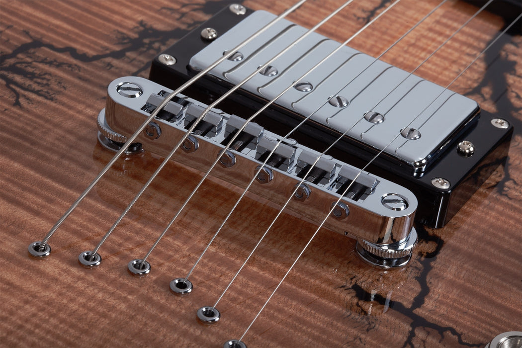 Schecter V-1 Electro-Resin Electric Guitar, Gloss Natural