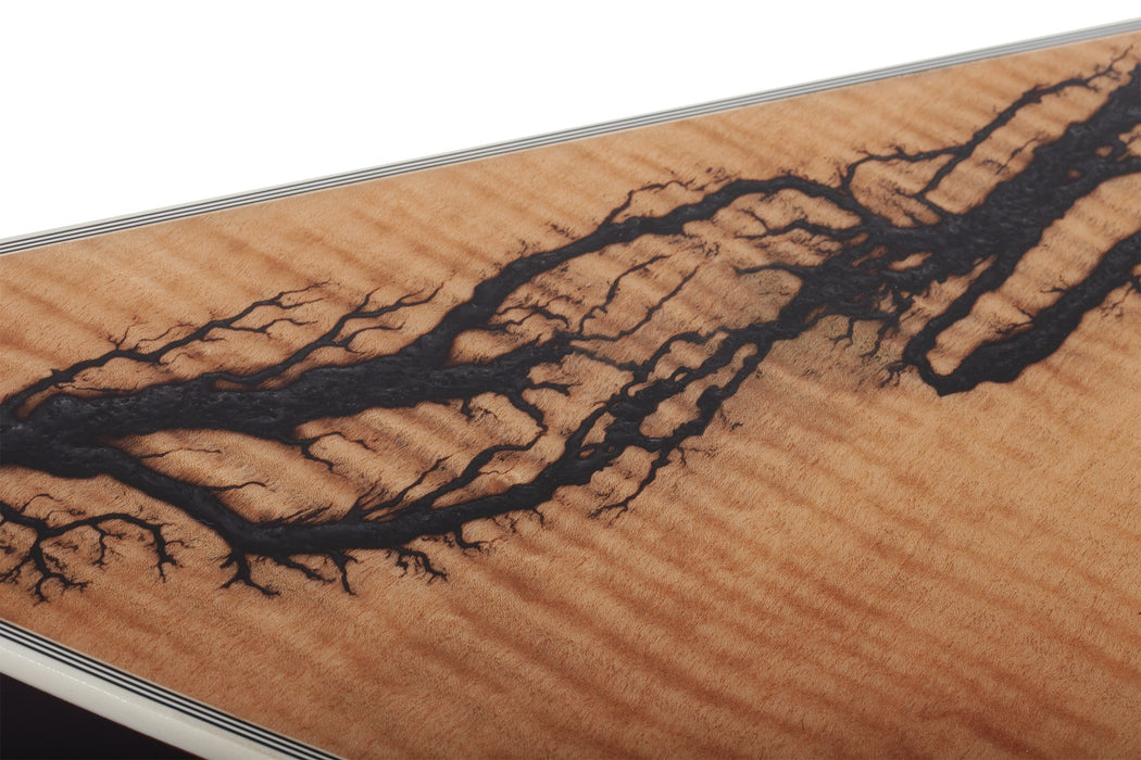 Schecter E-1 FR-S Electro-Resin Electric Guitar, Gloss Natural