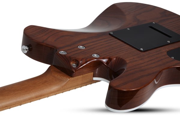 Schecter Pt Van Nuys Gloss Natural Ash