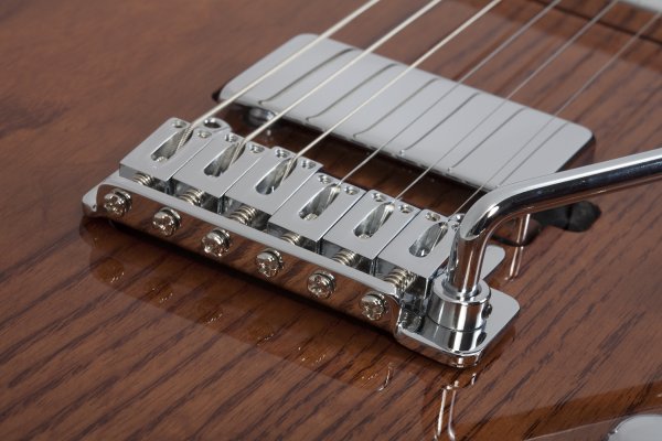 Schecter Pt Van Nuys Gloss Natural Ash