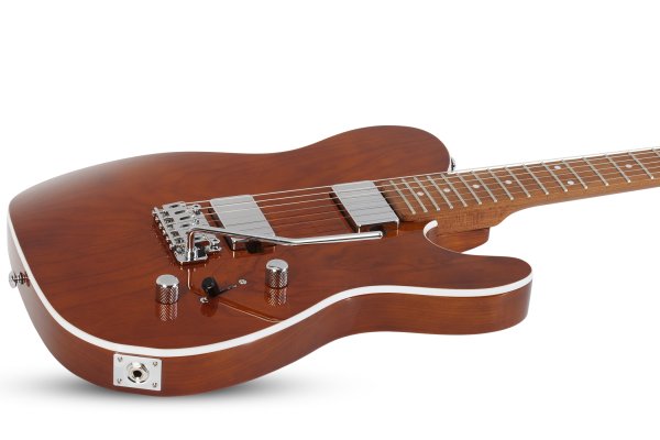 Schecter Pt Van Nuys Gloss Natural Ash