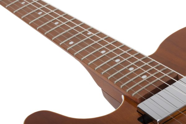 Schecter Pt Van Nuys Left-Handed Gloss Natural Ash