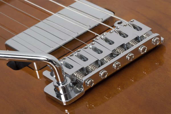 Schecter Pt Van Nuys Left-Handed Gloss Natural Ash