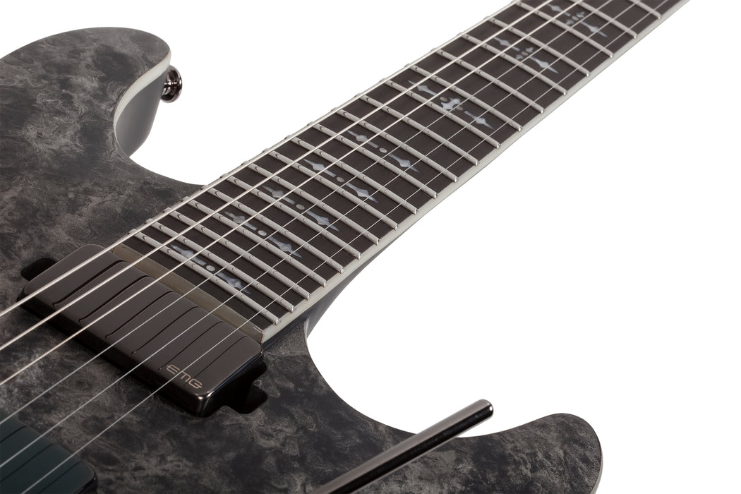 Schecter Ernie C C-1 Satin Black Reign