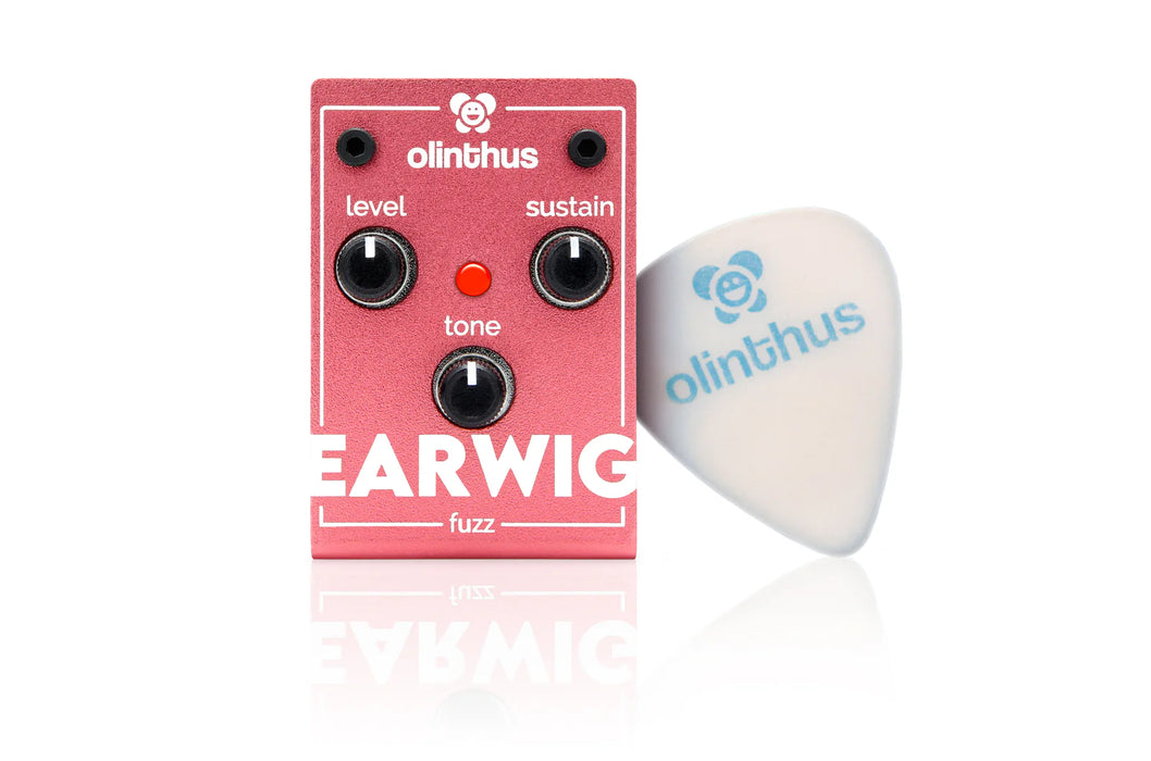 Olinthus Earwig Fuzz Pedal