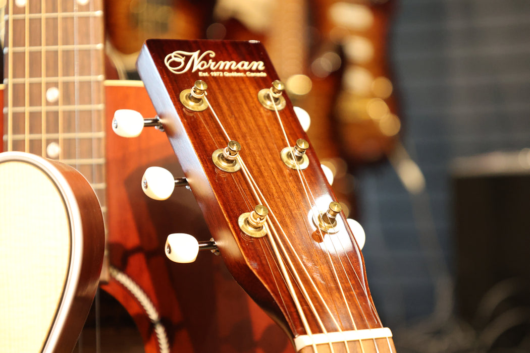 Norman B150 La Patrie 150th Anniversary Limited Edition