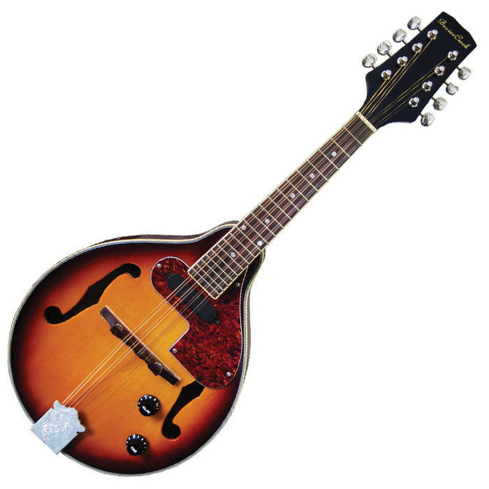 Beavercreek Mandolin Electric
