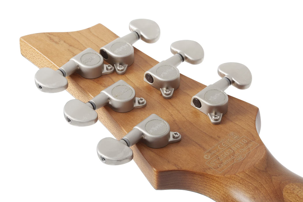 Schecter C-1 Standard Plus Electric Guitar, Transparent Black Burst