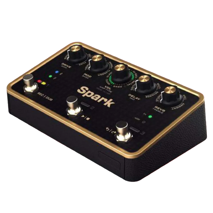 Positive Grid Portable Smart Amp & Effects Pedal w/Looper