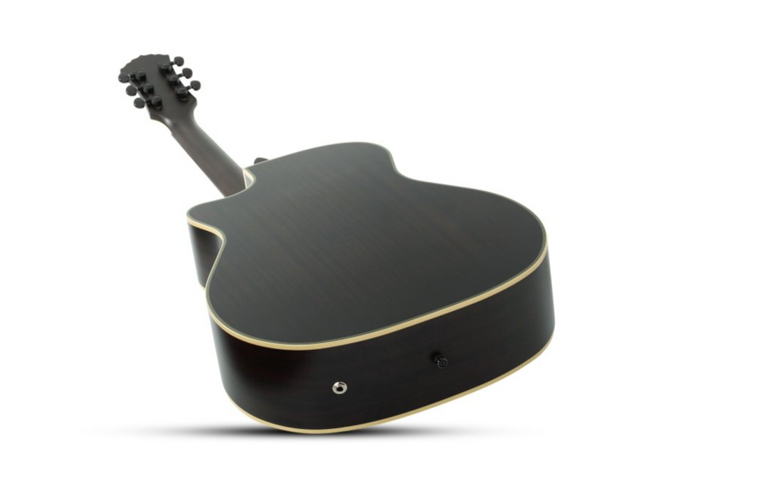 Wylde Audio Grand Auditorium Acoustic-Electric Guitar w/Pale Moon Ebony Top, Norse Dragon Bullseye