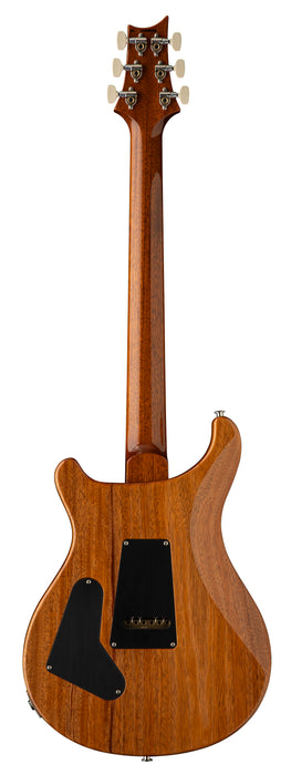 PRS Core Custom 24 - 10 Top , Aurora Borealis