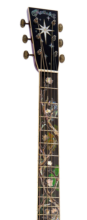 Martin Acoustic Guitar, D-300 w/Molded Hardshell Case