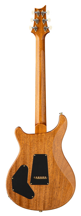 PRS DGT - Birds, Faded Blue Jean