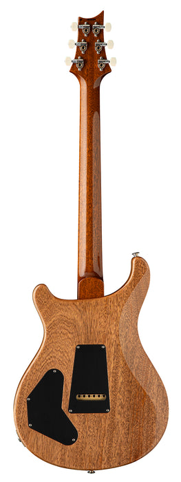 PRS DGT - Moons, Tiger Eye