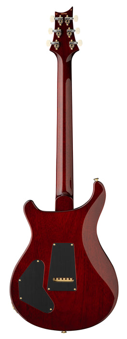 PRS DGT Semi-Hollow - Birds, Dark Cherry Sunburst