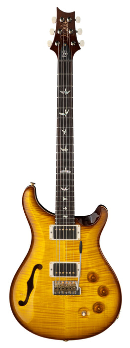 PRS DGT Semi-Hollow - Birds / 10 Top, McCarty Tobacco Sunburst