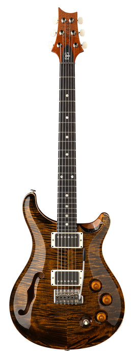 PRS DGT  Semi-Hollow - Moons, Tiger Eye