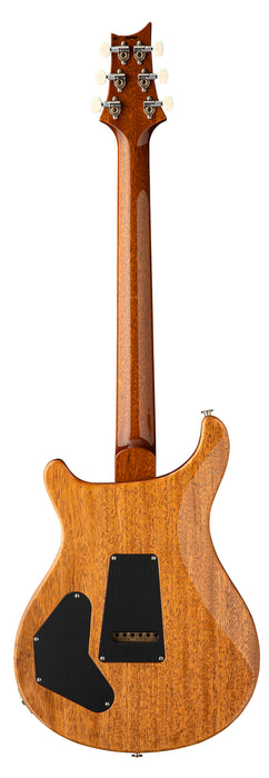 PRS DGT  Semi-Hollow - Moons, Tiger Eye