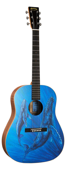 Martin Acoustic Guitar, DSS Biosphere II w/Softshell