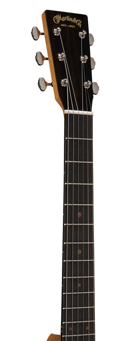 Martin Acoustic Guitar, DSS Biosphere II w/Softshell