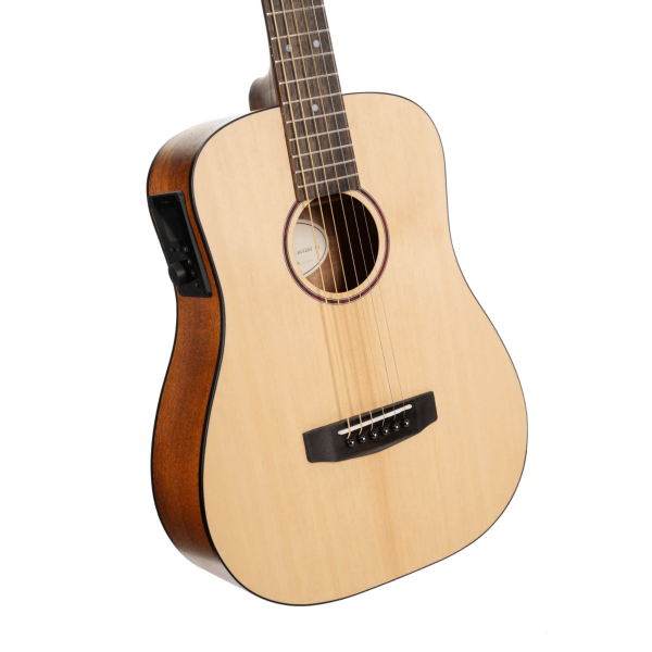 Cort Earth GO Series Acoustic Guitar with HyVibe H2, Gigbag,  Open Pore Natural
