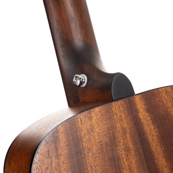 Cort Earth GO Series Acoustic Guitar with HyVibe H2, Gigbag,  Open Pore Natural