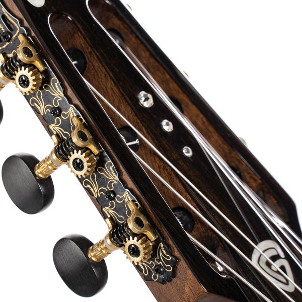 Cort LUXE-NYLONII-BKB-CASE Luxe Nylon Frank Gambale Signature Acoustic Guitar