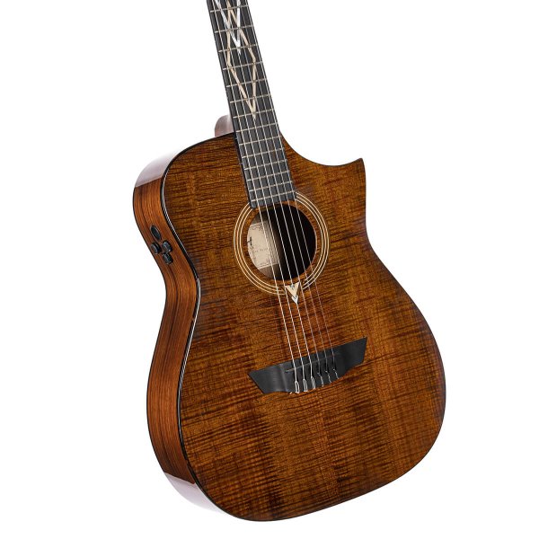 Cort LUXE-NYLONII-BKB-CASE Luxe Nylon Frank Gambale Signature Acoustic Guitar