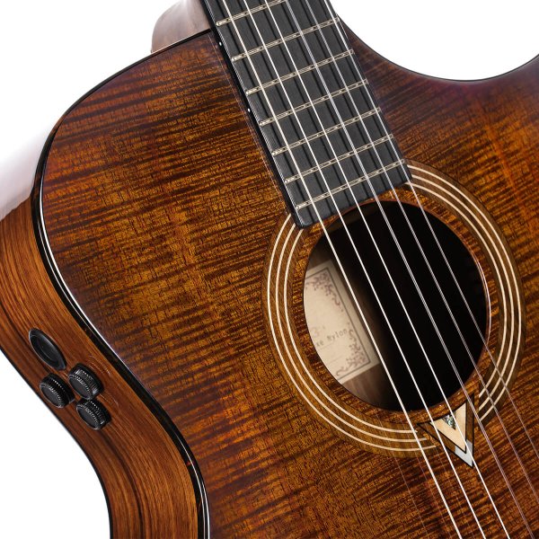 Cort LUXE-NYLONII-BKB-CASE Luxe Nylon Frank Gambale Signature Acoustic Guitar