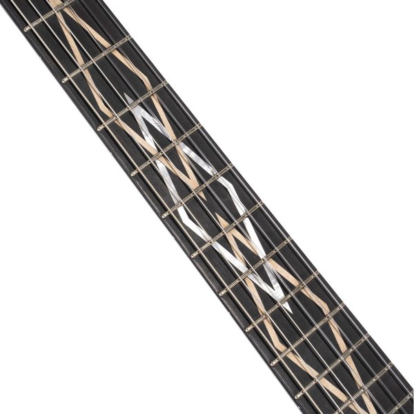 Cort LUXE-NYLONII-BKB-CASE Luxe Nylon Frank Gambale Signature Acoustic Guitar