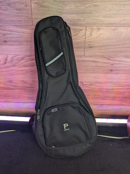 Seagull S8 EQ SF with Gigbag, Sunburst