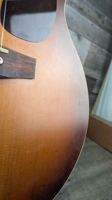 Seagull Entourage Mini Jumbo Rustic - Used