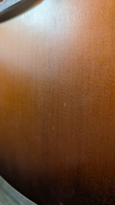 Seagull Entourage Mini Jumbo Rustic - Used