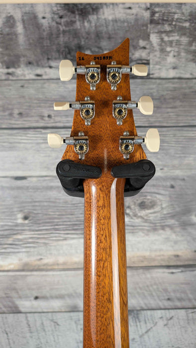 PRS Custom 24, Limited Birds of a Feather, Charcoal Microburst