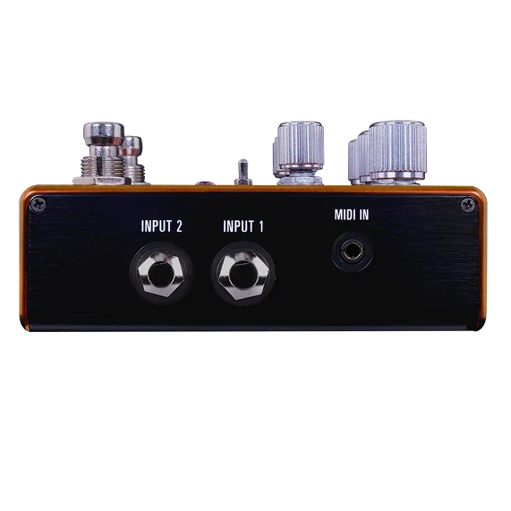 Source Audio SA281 PATHWAYS Tremolo & Reverb