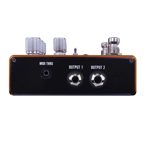 Source Audio SA281 PATHWAYS Tremolo & Reverb