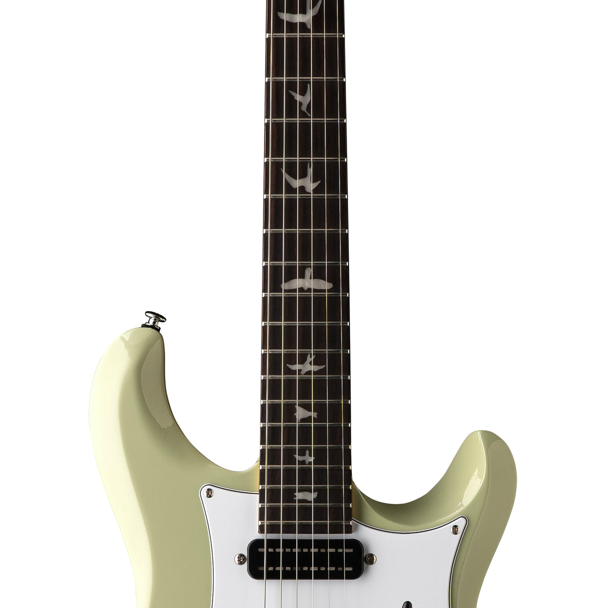 PRS SE Studio Standard Rosewood, Sage Green for Sale in Canada | Zedem