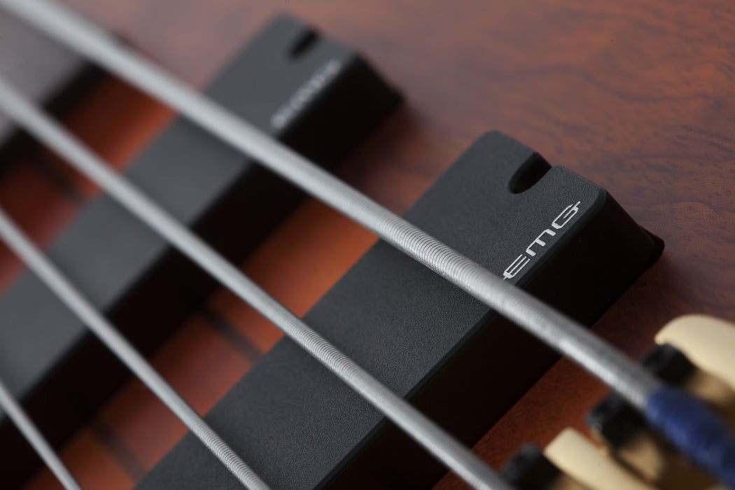 Schecter Stiletto Studio-5 5-String Fretless Electric Bass Left-Handed, Honey Satin