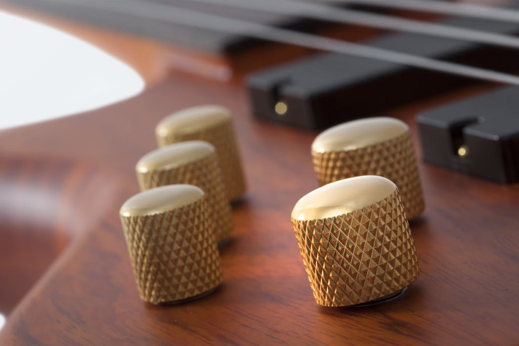 Schecter Stiletto Studio-5 5-String Fretless Electric Bass Left-Handed, Honey Satin