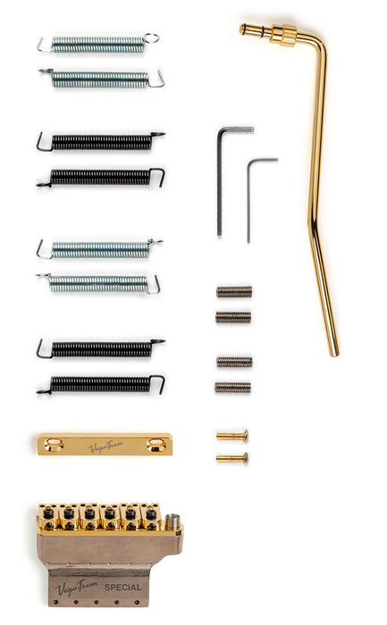 Vega-Trem VT1 Special 2-points Stratocaster Gold