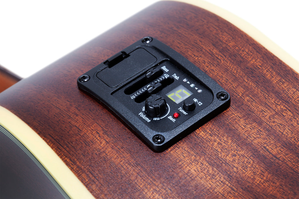Wylde Audio Grand Auditorium Acoustic Guitar, Ash Bhurst